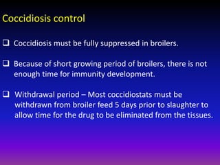 Broiler management.pptx