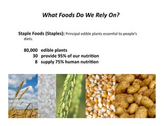 Lecture 10 food hunger and poverty