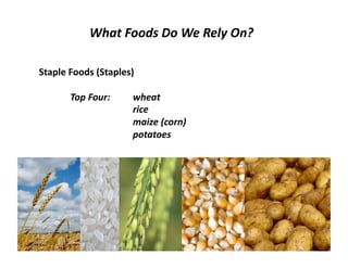 Lecture 10 food hunger and poverty