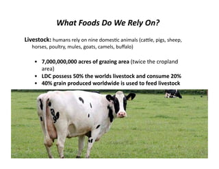 Lecture 10 food hunger and poverty