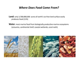 Lecture 10 food hunger and poverty