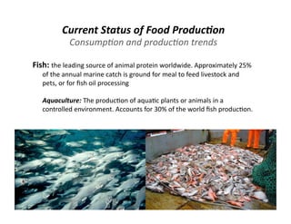 Lecture 10 food hunger and poverty