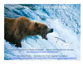 Salmon Aquiculture in Pacific Northwest – Salmon Industry (Marine Harvest):
                          http://www.youtube.com/watch?v=K1NBcnNzAkU

           Alexandra Morton – Naturalist who Fights Against Aquiculture:
http://video.nytimes.com/video/2008/11/04/science/1194831199078/alexandra-mortons-salmon-fight.html
 