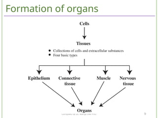 Comprehensive Histology of Animal Tissues: Structure and Function | PPTX