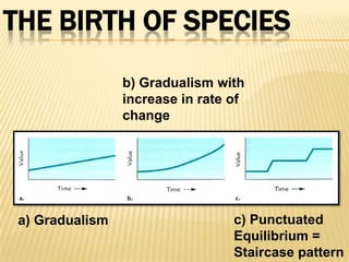 Lecture 10 macroevolution and systematics | PPTX