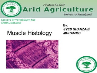 Muscle Histology
By:
SYED SHAHZAIB
MUHAMMD
FACULTY OF VETERINARY AND
ANIMAL SCIENCES
 