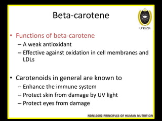 beta carotene function