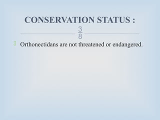 
CONSERVATION STATUS :
 Orthonectidans are not threatened or endangered.
 