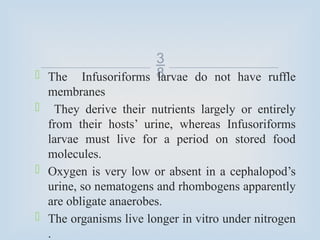 
 The Infusoriforms larvae do not have ruffle
membranes
 They derive their nutrients largely or entirely
from their hosts’ urine, whereas Infusoriforms
larvae must live for a period on stored food
molecules.
 Oxygen is very low or absent in a cephalopod’s
urine, so nematogens and rhombogens apparently
are obligate anaerobes.
 The organisms live longer in vitro under nitrogen
.
 