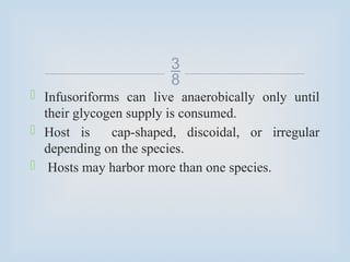 
 Infusoriforms can live anaerobically only until
their glycogen supply is consumed.
 Host is cap-shaped, discoidal, or irregular
depending on the species.
 Hosts may harbor more than one species.
 