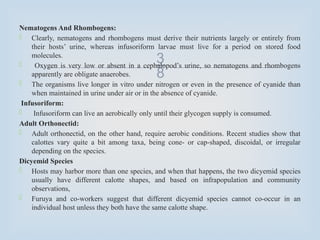 
Nematogens And Rhombogens:
 Clearly, nematogens and rhombogens must derive their nutrients largely or entirely from
their hosts’ urine, whereas infusoriform larvae must live for a period on stored food
molecules.
 Oxygen is very low or absent in a cephalopod’s urine, so nematogens and rhombogens
apparently are obligate anaerobes.
 The organisms live longer in vitro under nitrogen or even in the presence of cyanide than
when maintained in urine under air or in the absence of cyanide.
Infusoriform:
 Infusoriform can live an aerobically only until their glycogen supply is consumed.
Adult Orthonectid:
 Adult orthonectid, on the other hand, require aerobic conditions. Recent studies show that
calottes vary quite a bit among taxa, being cone- or cap-shaped, discoidal, or irregular
depending on the species.
Dicyemid Species
 Hosts may harbor more than one species, and when that happens, the two dicyemid species
usually have different calotte shapes, and based on infrapopulation and community
observations,
 Furuya and co-workers suggest that different dicyemid species cannot co-occur in an
individual host unless they both have the same calotte shape.
 