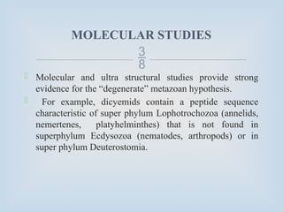 
MOLECULAR STUDIES
 Molecular and ultra structural studies provide strong
evidence for the “degenerate” metazoan hypothesis.
 For example, dicyemids contain a peptide sequence
characteristic of super phylum Lophotrochozoa (annelids,
nemertenes, platyhelminthes) that is not found in
superphylum Ecdysozoa (nematodes, arthropods) or in
super phylum Deuterostomia.
 