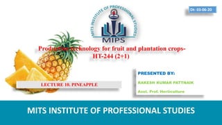 Production technology for fruit and plantation crops-
HT-244 (2+1)
PRESENTED BY:
RAKESH KUMAR PATTNAIK
Asst. Prof. Horticulture
MITS INSTITUTE OF PROFESSIONAL STUDIES
Dt- 03-06-20
LECTURE 10. PINEAPPLE
 
