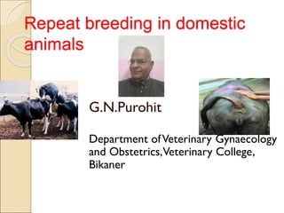 Repeat breeding in domestic
animals
G.N.Purohit
Department ofVeterinary Gynaecology
and Obstetrics,Veterinary College,
Bikaner
 