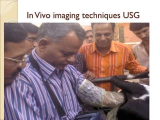 InVivo imaging techniques USG
 