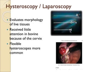 Hysteroscopy / Laparoscopy
 Evaluates morphology
of live tissues
 Received little
attention in bovine
because of the cervix
 Flexible
hysteroscopes more
common
 