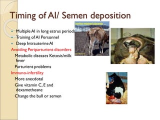 Timing of AI/ Semen deposition
 MultipleAI in long estrus periods
 Training of AI Personnel
 Deep IntrauterineAI
Avoiding Periparturient disorders
Metabolic diseases Ketosis/milk
fever
Parturient problems
Immuno-infertility
More anecdotal
Give vitamin C, E and
dexamethosne
Change the bull or semen
 