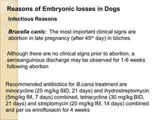 Reasons of Embryonic losses in Dogs
Infectious Reasons
Brucella canis: The most important clinical signs are
abortion in late pregnancy (after 45th day) in bitches.
Although there are no clinical signs prior to abortion, a
serosanguinous discharge may be observed for 1-6 weeks
following abortion
Recommended antibiotics for B.canis treatment are
minocycline (25 mg/kg SID, 21 days) and ihydrostreptomycin
(5mg/kg IM, 7 days) combined, tetracycline (30 mg/kg BID,
21 days) and streptomycin (20 mg/kg IM, 14 days) combined
and per os enrofloxacin for 4 weeks
 
