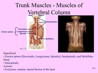 lecture 10t.ppt