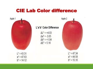 Lecture#10 Theory of Color.pptx