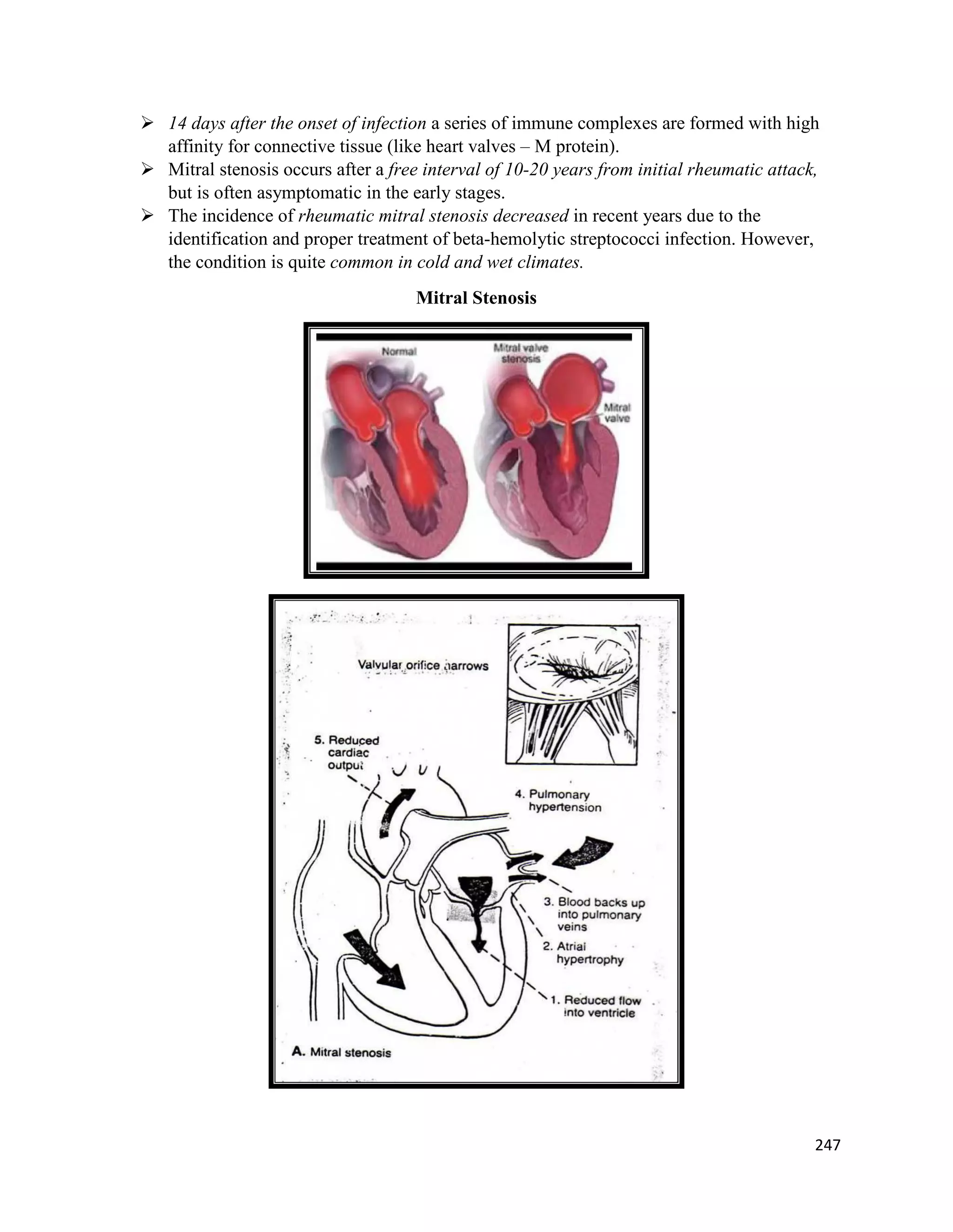  14 days after the onset of infection a series of immune complexes are formed with high
affinity for connective tissue (like heart valves – M protein).
 Mitral stenosis occurs after a free interval of 10-20 years from initial rheumatic attack,
but is often asymptomatic in the early stages.
 The incidence of rheumatic mitral stenosis decreased in recent years due to the
identification and proper treatment of beta-hemolytic streptococci infection. However,
the condition is quite common in cold and wet climates.
Mitral Stenosis
247
 