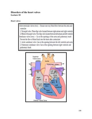 Disorders of the heart valves
Lecture 10
Heart valves
238
 
