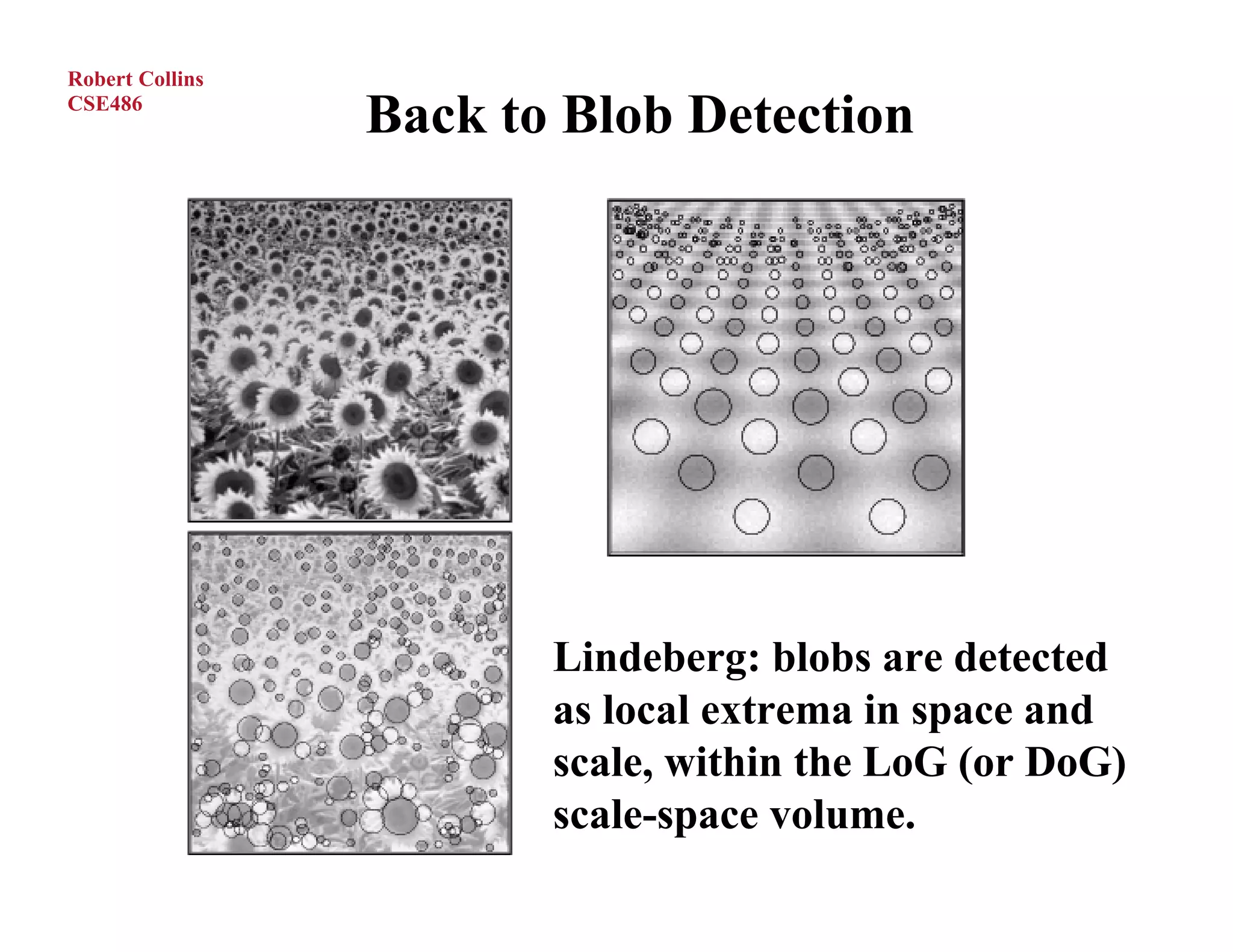 Robert Collins
CSE486
                 Back to Blob Detection




                        Lindeberg: blobs are detected
                        as local extrema in space and
                        scale, within the LoG (or DoG)
                        scale-space volume.
 
