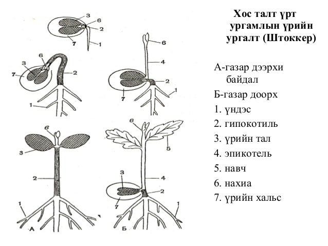 Lecture11