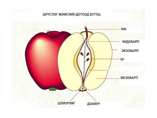 Lecture11