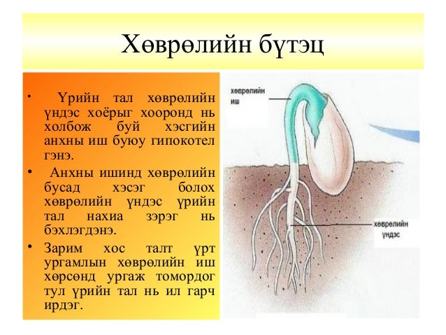 Lecture11