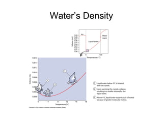 Water’s Density
 