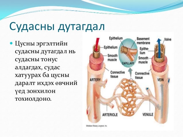 Lecture 11