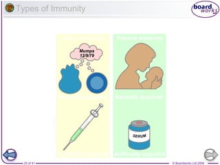 Types of Immunity

Active immunity

Passive immunity

Naturally acquired

Naturally acquired

Artificially acquired Artificially acquired
25 of 41

© Boardworks Ltd 2006

 