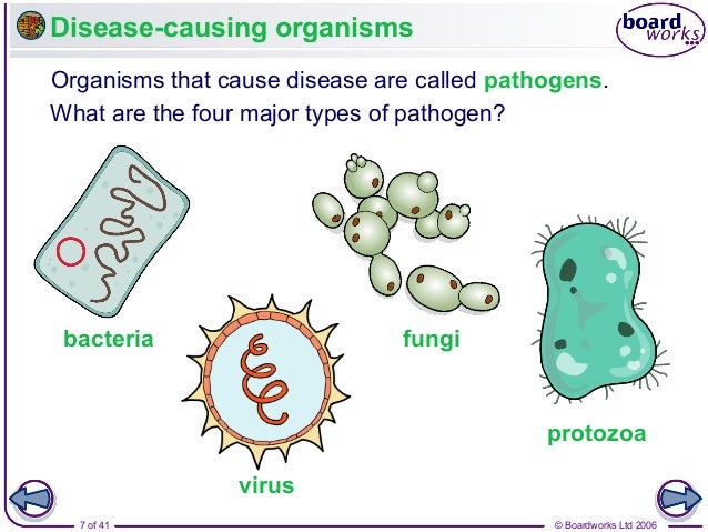 infections and immunity