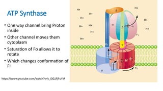 Microbiology and Virology - Lecture 11-13Metabolism.pptx