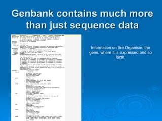 Genbank contains much more 
than just sequence data 
Information on the Organism, the 
gene, where it is expressed and so 
forth. 
 