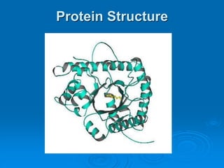 Protein Structure 
 