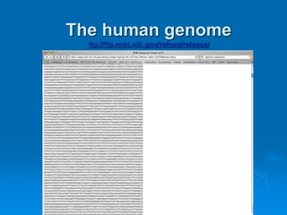 The human genome 
ftp://ftp.ncbi.nih.gov/refseq/release/ 
 