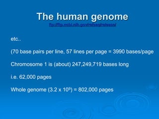 The human genome 
ftp://ftp.ncbi.nih.gov/refseq/release/ 
etc.. 
(70 base pairs per line, 57 lines per page = 3990 bases/page 
Chromosome 1 is (about) 247,249,719 bases long 
i.e. 62,000 pages 
Whole genome (3.2 x 109) = 802,000 pages 
 