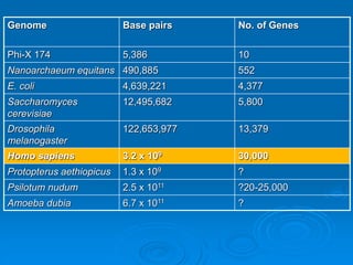 Genome Base pairs No. of Genes 
Phi-X 174 5,386 10 
Nanoarchaeum equitans 490,885 552 
E. coli 4,639,221 4,377 
Saccharomyces 
12,495,682 5,800 
cerevisiae 
Drosophila 
melanogaster 
122,653,977 13,379 
Homo sapiens 3.2 x 109 30,000 
Protopterus aethiopicus 1.3 x 109 ? 
Psilotum nudum 2.5 x 1011 ?20-25,000 
Amoeba dubia 6.7 x 1011 ? 
 