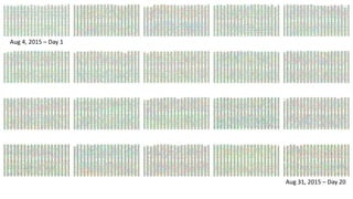 Aug 4, 2015 – Day 1
Aug 31, 2015 – Day 20
 