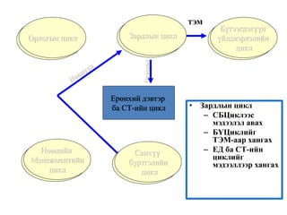 Ерөнхий дэвтэр
ба СТ-ийн цикл
Орлогын цикл Зардлын цикл
Бүтээгдэхүүн
үйлдвэрлэлийн
цикл
Нөөцийн
Менежментийн
цикл
Санхүү
бүртгэлийн
цикл
• Зардлын цикл
– СБЦиклээс
мэдээлэл авах
– БҮЦиклийг
ТЭМ-аар хангах
– ЕД ба СТ-ийн
циклийг
мэдээллээр хангах
ТЭМ
Өгөгдөл
Орлогын цикл Зардлын цикл
Бүтээгдэхүүн
үйлдвэрлэлийн
цикл
Нөөцийн
Менежментийн
цикл
Санхүү
бүртгэлийн
цикл
 