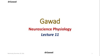 Gawad
Neuroscience Physiology
Lecture 11
Wednesday, November 28, 2018 1
 