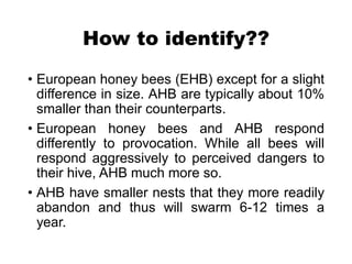 Lecture 11.pdf