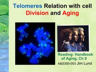 Telomeres Relation with cell
Division and Aging
Reading: Handbook
of Aging, Ch 9
A&S300-003 Jim Lund
 