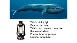 Whale oil for light
Demand increases
Whales are common property
Run out of whales
Price of lamp oil goes up
Look for substitutes
 