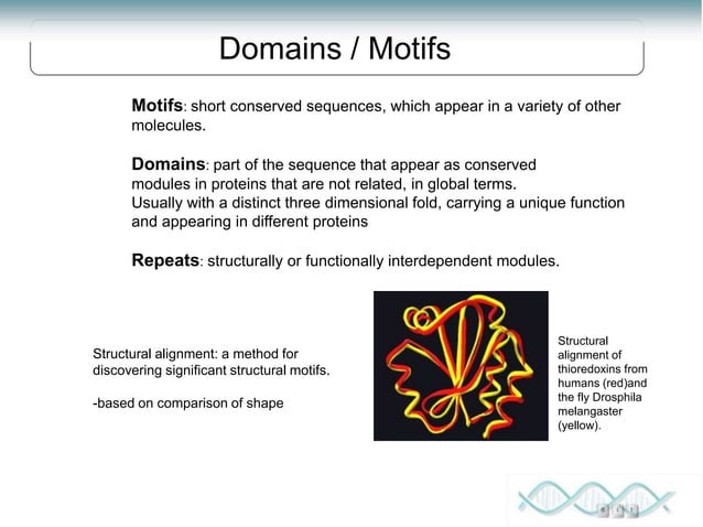Proteomics Lecture 1 Introduction To Proteomics Ppt Proteomics Lecture 1 Introduction To Proteomics Ppt