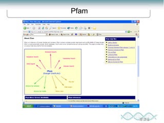 Proteomics: lecture (1) introduction to proteomics | PPT