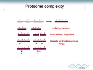Proteomics: lecture (1) introduction to proteomics | PPT
