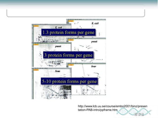 Proteomics: lecture (1) introduction to proteomics | PPT